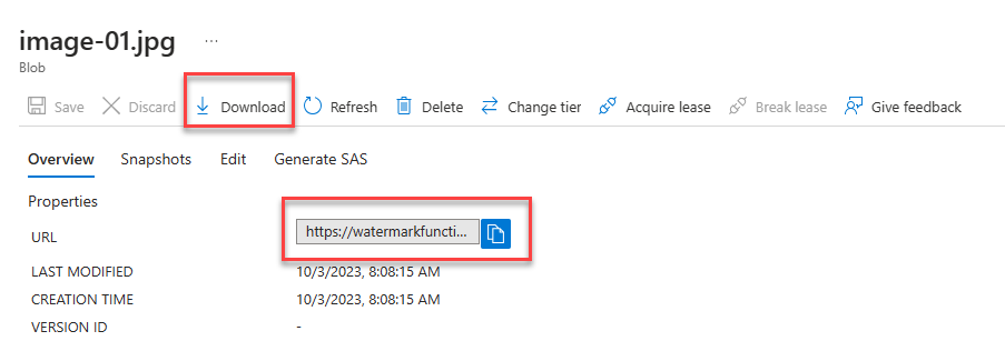 Copying the Blob URL path to download the resulting file from the Functions trigger execution