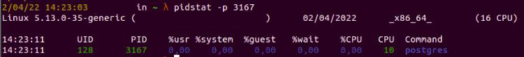 pidstat shows statistics about a specific process ID