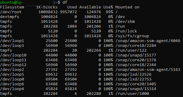 Fig. 1: Output of the df command