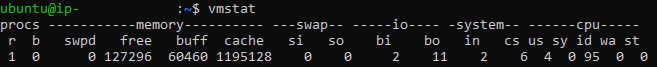 Fig. 2: Output of the vmstat command