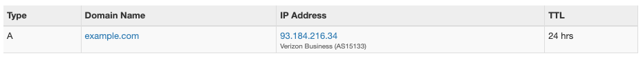 Fig. 1: DNS record lookup result.