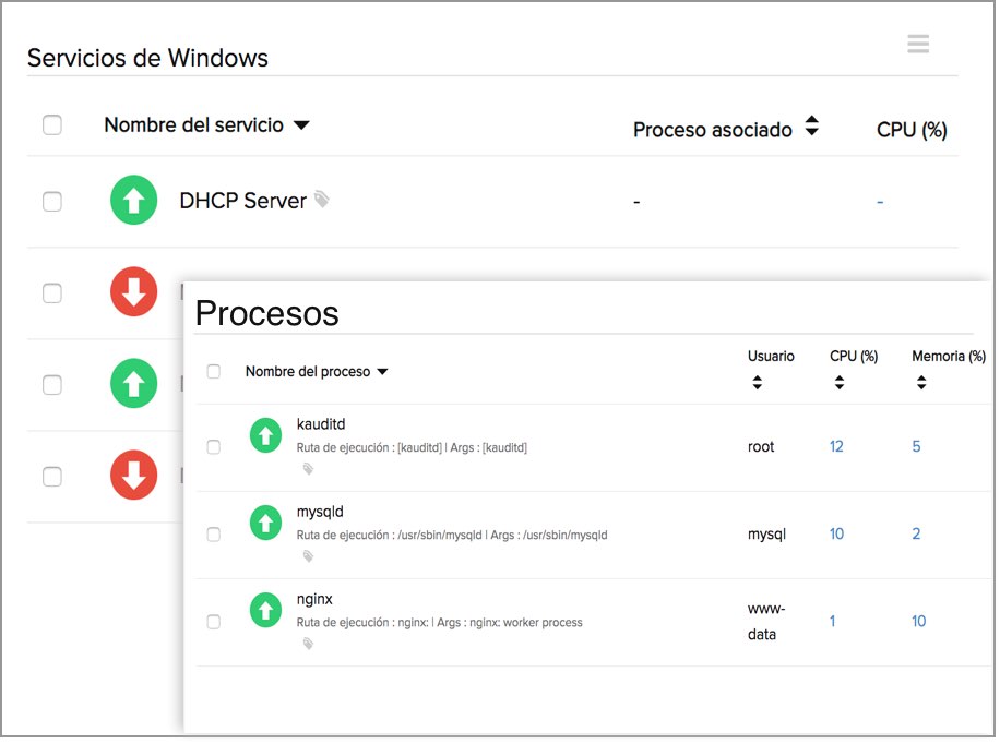 Service and Process Monitoring