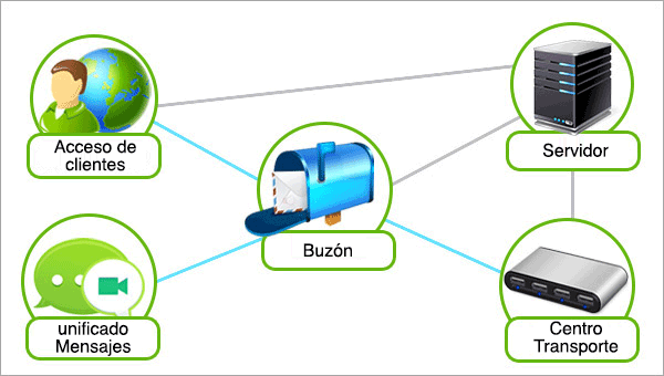 Holistic organisation view