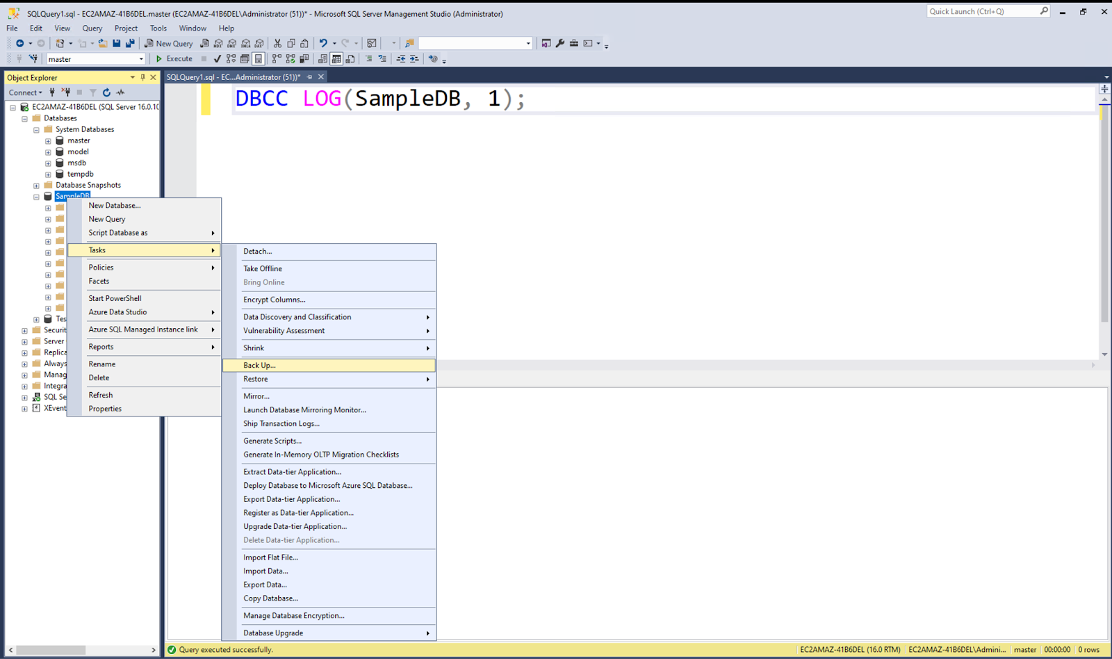 Visible backup options while navigating to the Back Up window