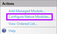 The Modules icon on IIS