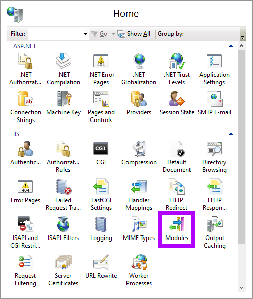 The Modules icon on IIS