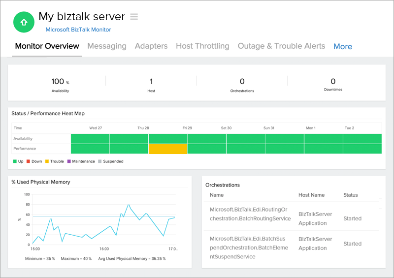  BizTalk监视器概述