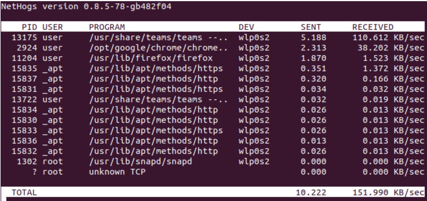 Fig. 1: Nethogs in the Linux terminal