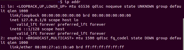 Fig. 9: Checking the status of network interfaces