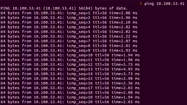 Fig. 1: ping command to the local development environment