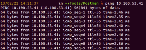 A ping example command