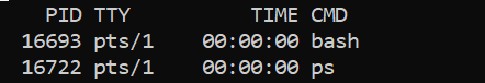 Fig 4: Output of ps command