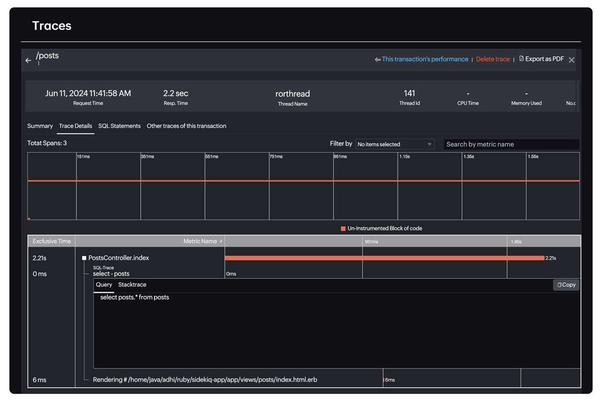 Ruby monitoring tool - Site24x7