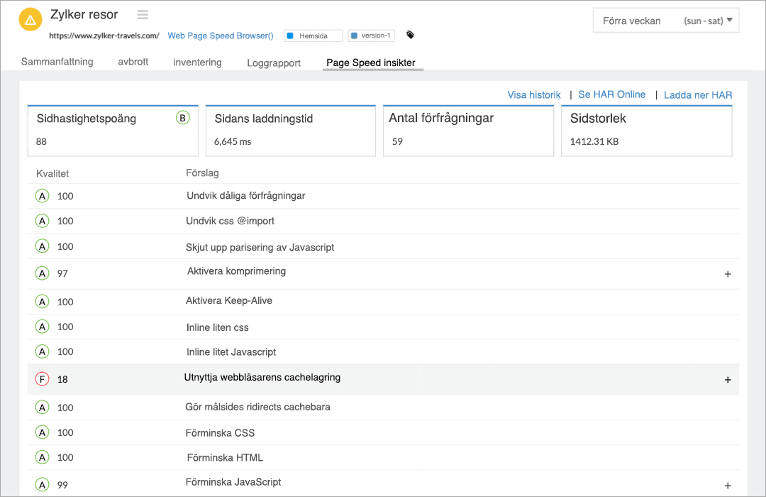 Image of passed and failed PageSpeed recommendations grouped by categories